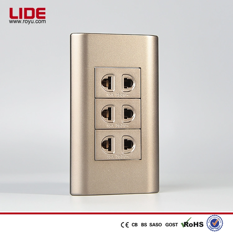 Gold Color 2 Pin Socket